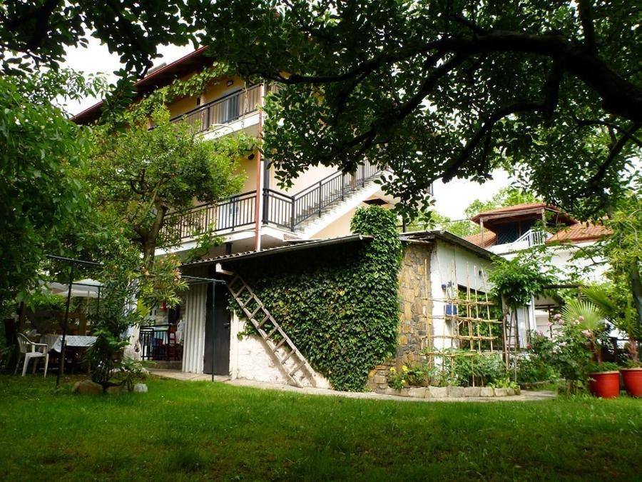 Helena Apartments باراليا بانتالييمونوس المظهر الخارجي الصورة